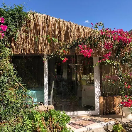 Begonvilla Bungalows Ξενοδοχείο με διαμερίσματα *
