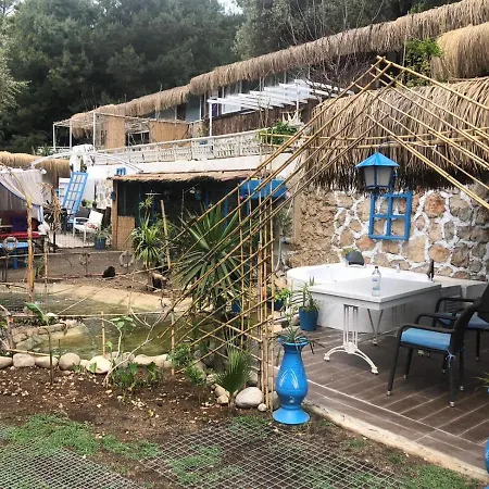 Begonvilla Bungalows Muğla