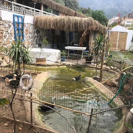 Begonvilla Bungalows Ξενοδοχείο με διαμερίσματα Μούγκλα