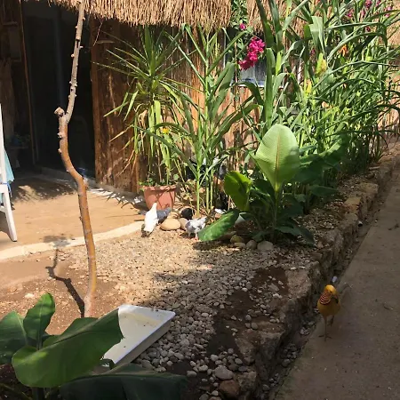 Begonvilla Bungalows Ξενοδοχείο με διαμερίσματα Μούγκλα