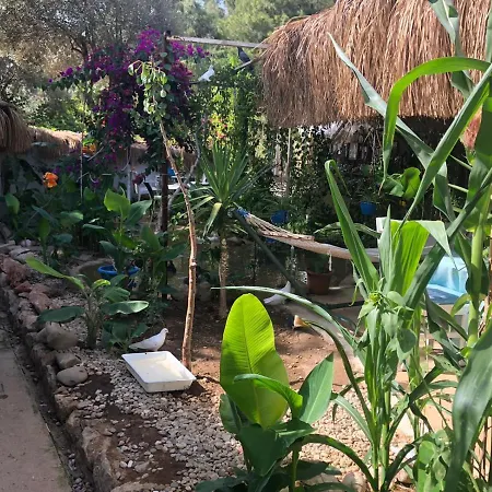 Begonvilla Bungalows Ξενοδοχείο με διαμερίσματα *