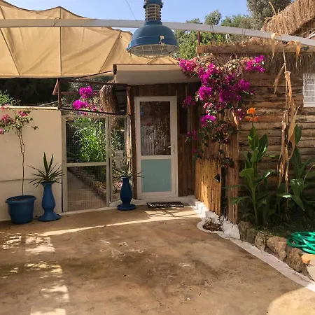 Hotel de apartamente Begonvilla Bungalows