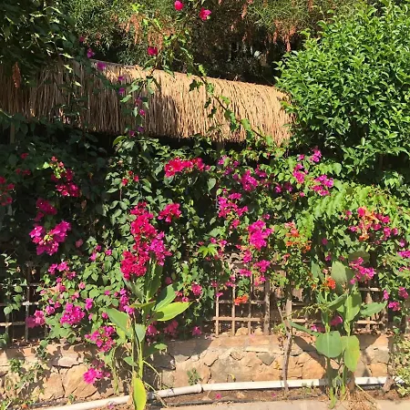 Ξενοδοχείο με διαμερίσματα Begonvilla Bungalows