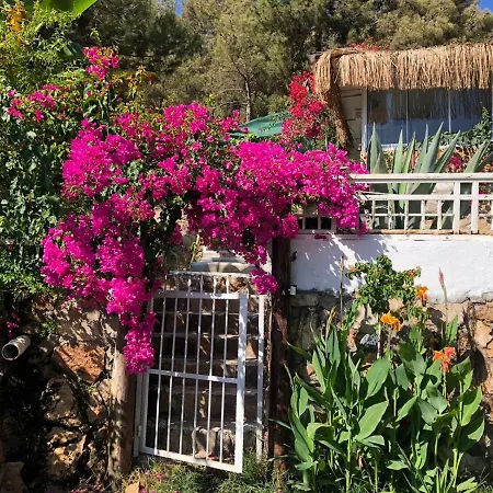 Begonvilla Bungalows Muğla
