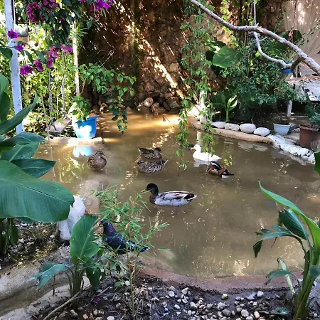 Begonvilla Bungalows Muğla