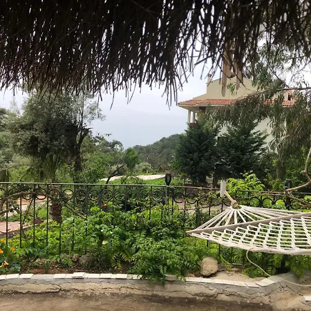 Aparthotel Begonvilla Bungalows *