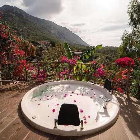 Aparthotel Begonvilla Bungalows