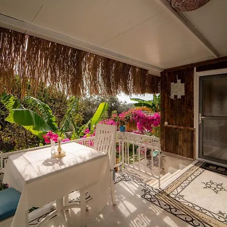 Aparthotel Begonvilla Bungalows *