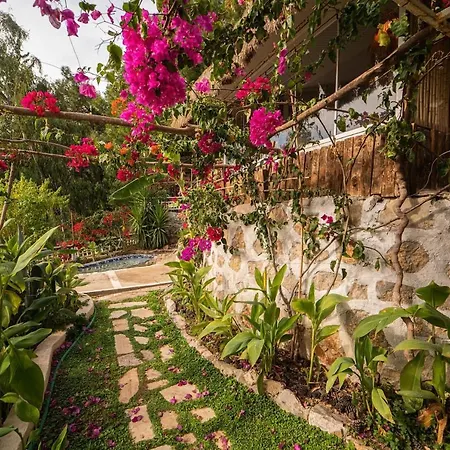 Ξενοδοχείο με διαμερίσματα Begonvilla Bungalows