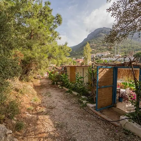 Aparthotel Begonvilla Bungalows *