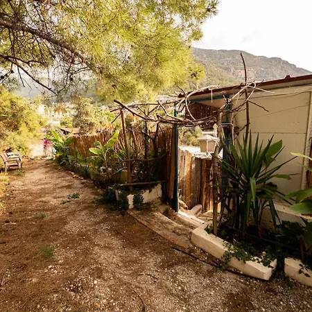 Aparthotel Begonvilla Bungalows